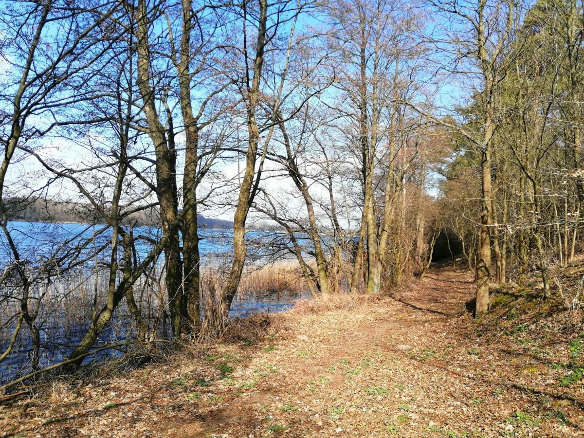 Domki Nad Jeziorem Dąbrówno Esterno foto