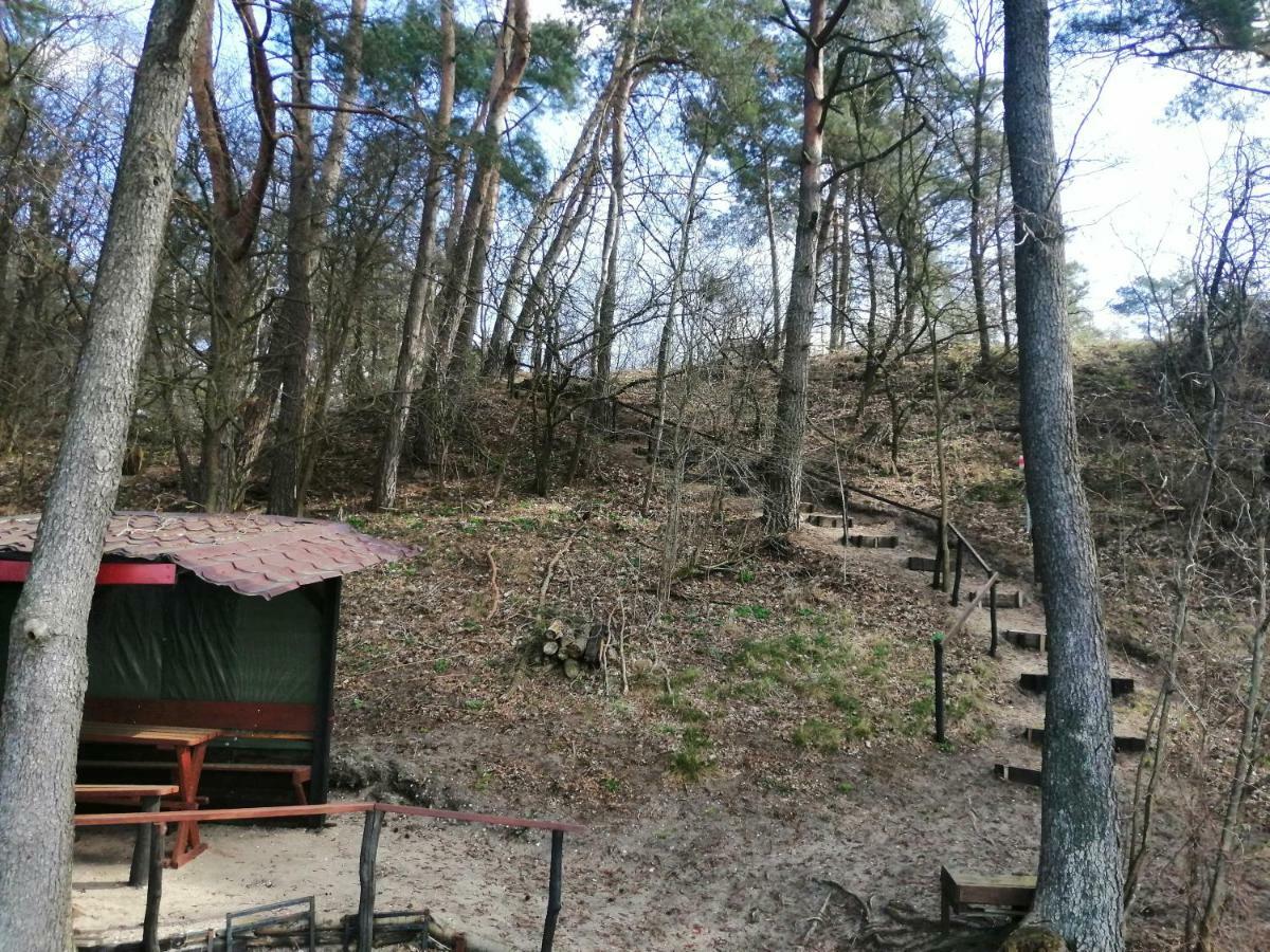Domki Nad Jeziorem Dąbrówno Esterno foto